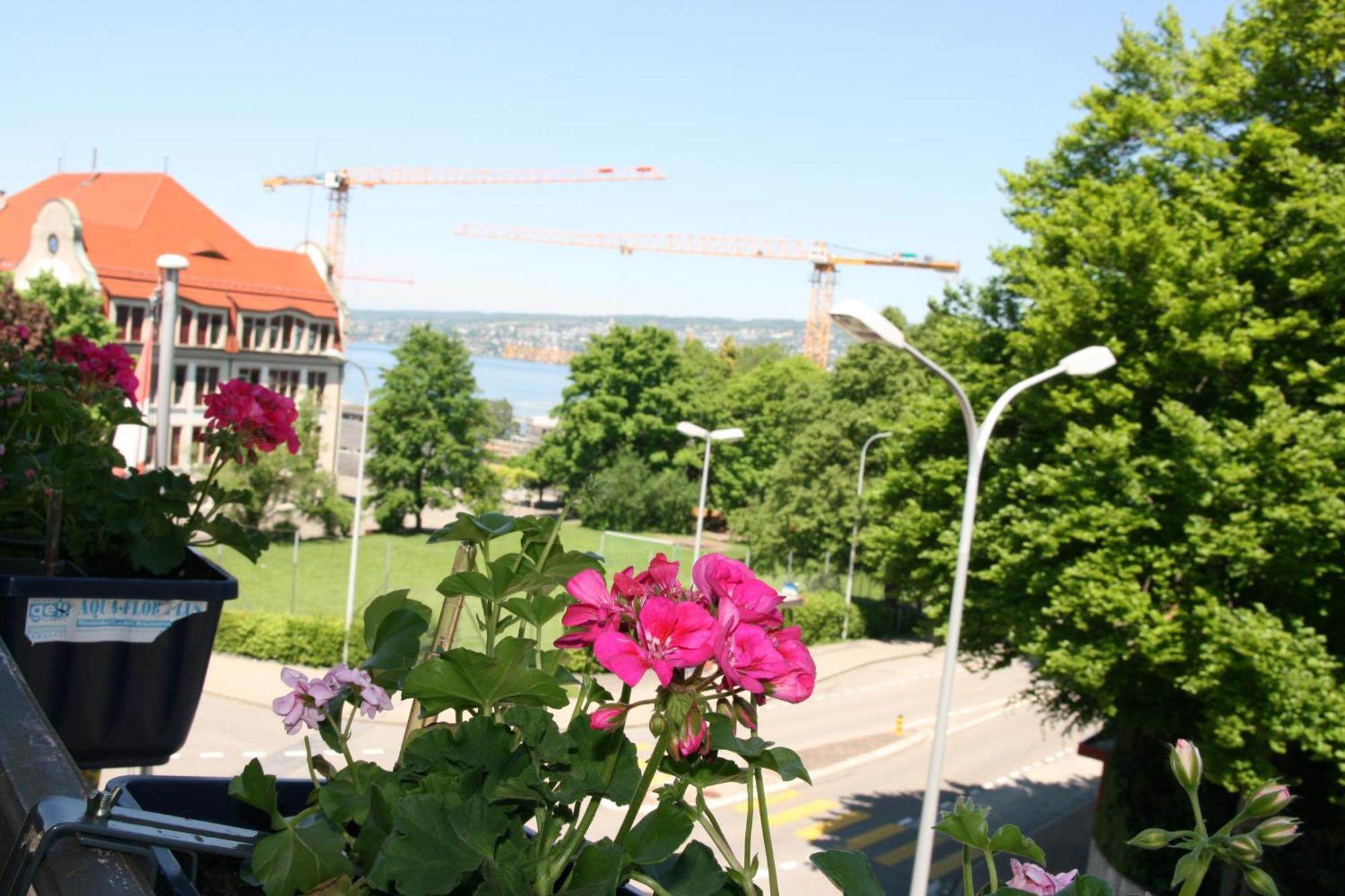 Hotel Glaernisch Hof Horgen Exterior foto